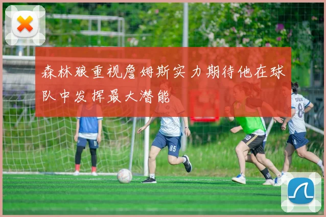 森林狼重视詹姆斯实力期待他在球队中发挥最大潜能